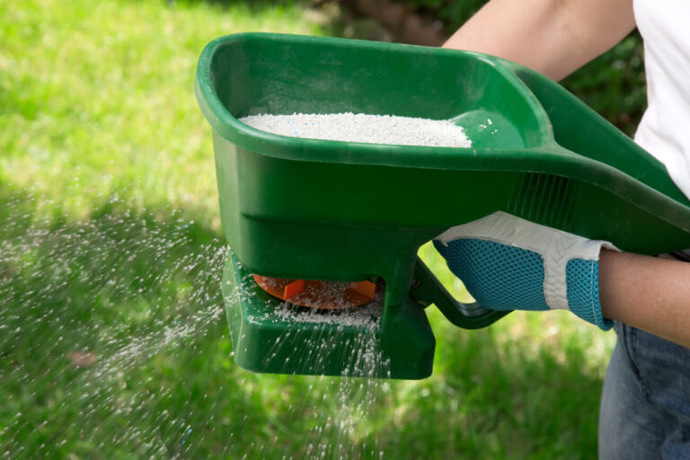 Spring Lawn Fertilizer: 5 application tips