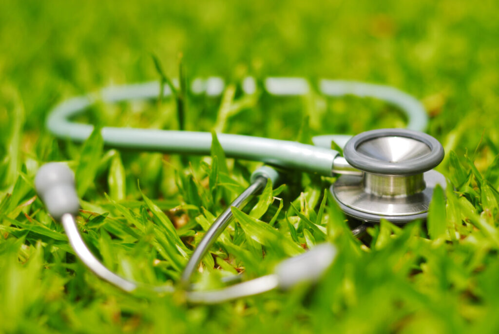 Environmental Benefits of a Healthy Lawn Dr. Green Lawn Care Services