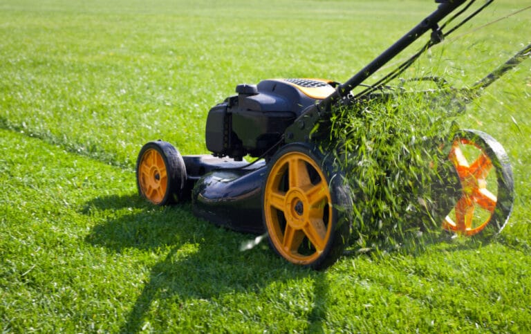 Lawn Care Prices: How much will lawn care cost you this summer?
