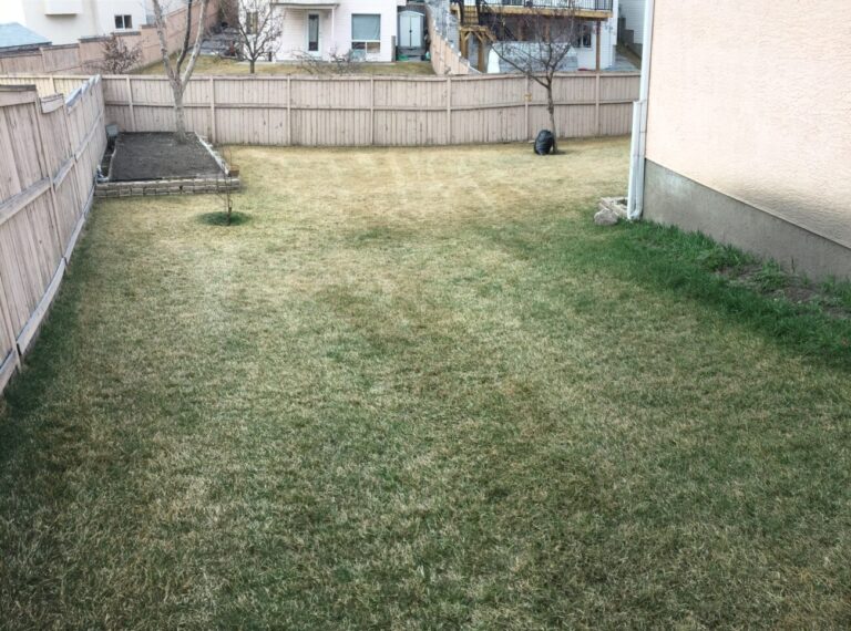 Why is my lawn brown?
