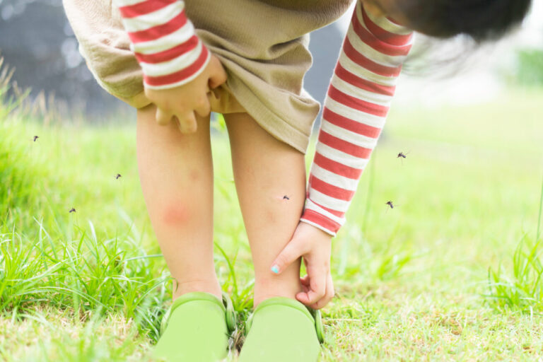 get rid of mosquitoes in yard