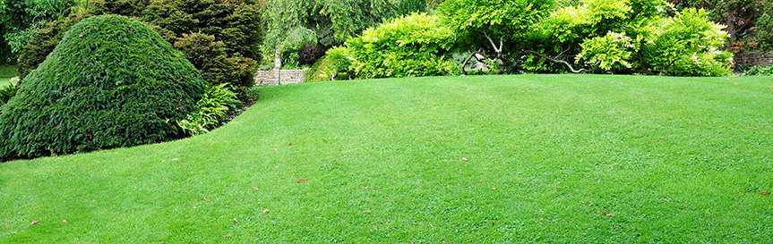 What is Pre-Emergent''Beutiful Lush Lawn