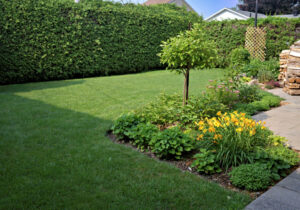 healthy lawn helps the planet