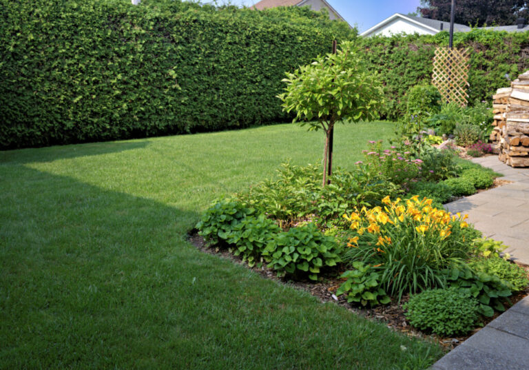healthy lawn helps the planet