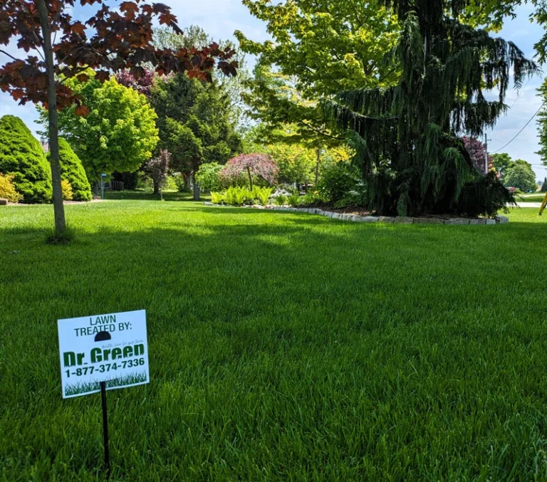 helps enivornment healthy lawn