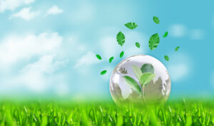 Burlington Lawn Care Healthy lawns