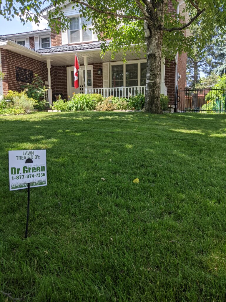 Mississauga lawn care weed control service lawn care service professional lawn care