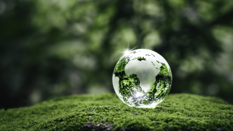 Oakville lawn helps the environment Brampton lawn helps the environment