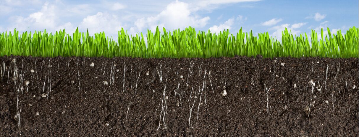 Liquid Aeration