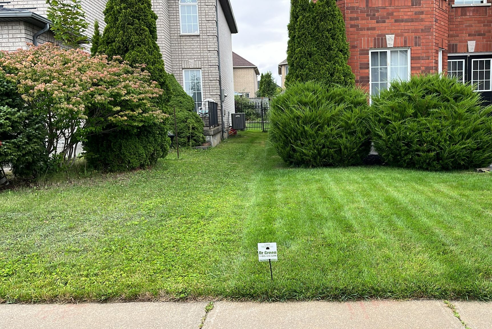 Comparison Landscape Comparison Landscape