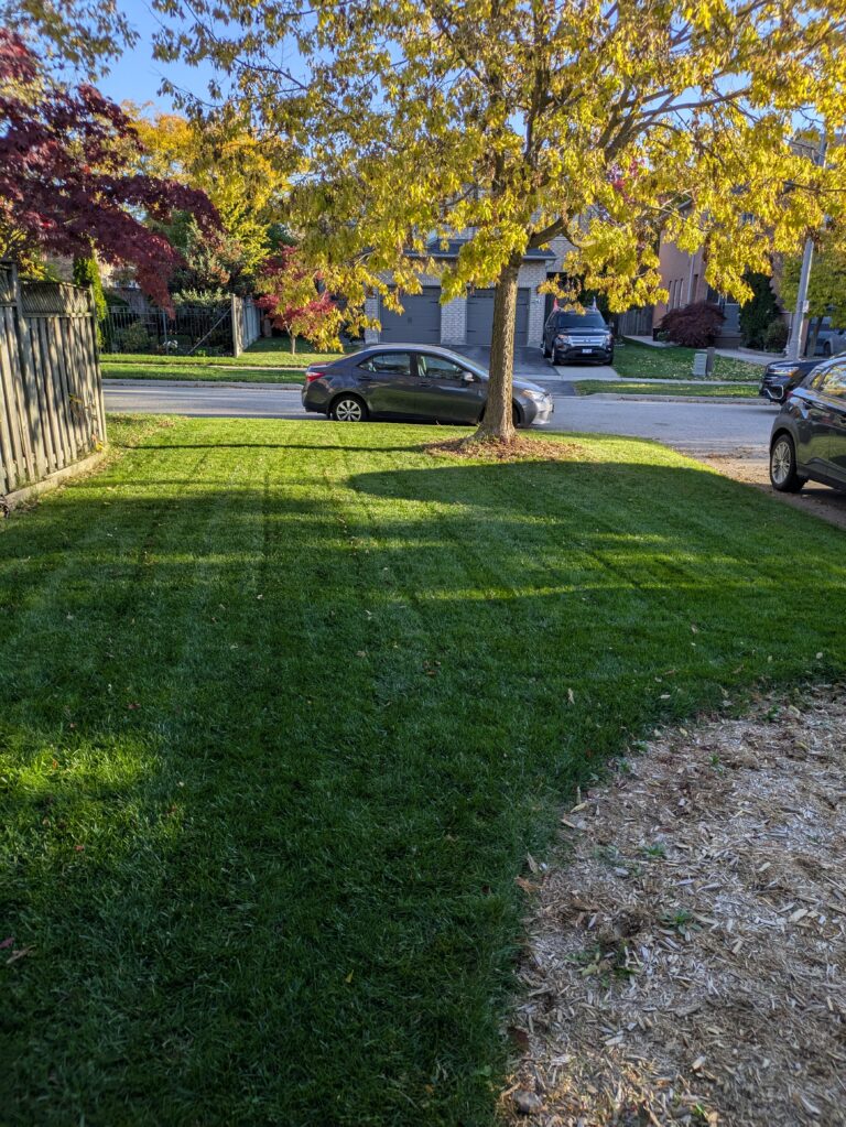 PXL_20251029_131923619