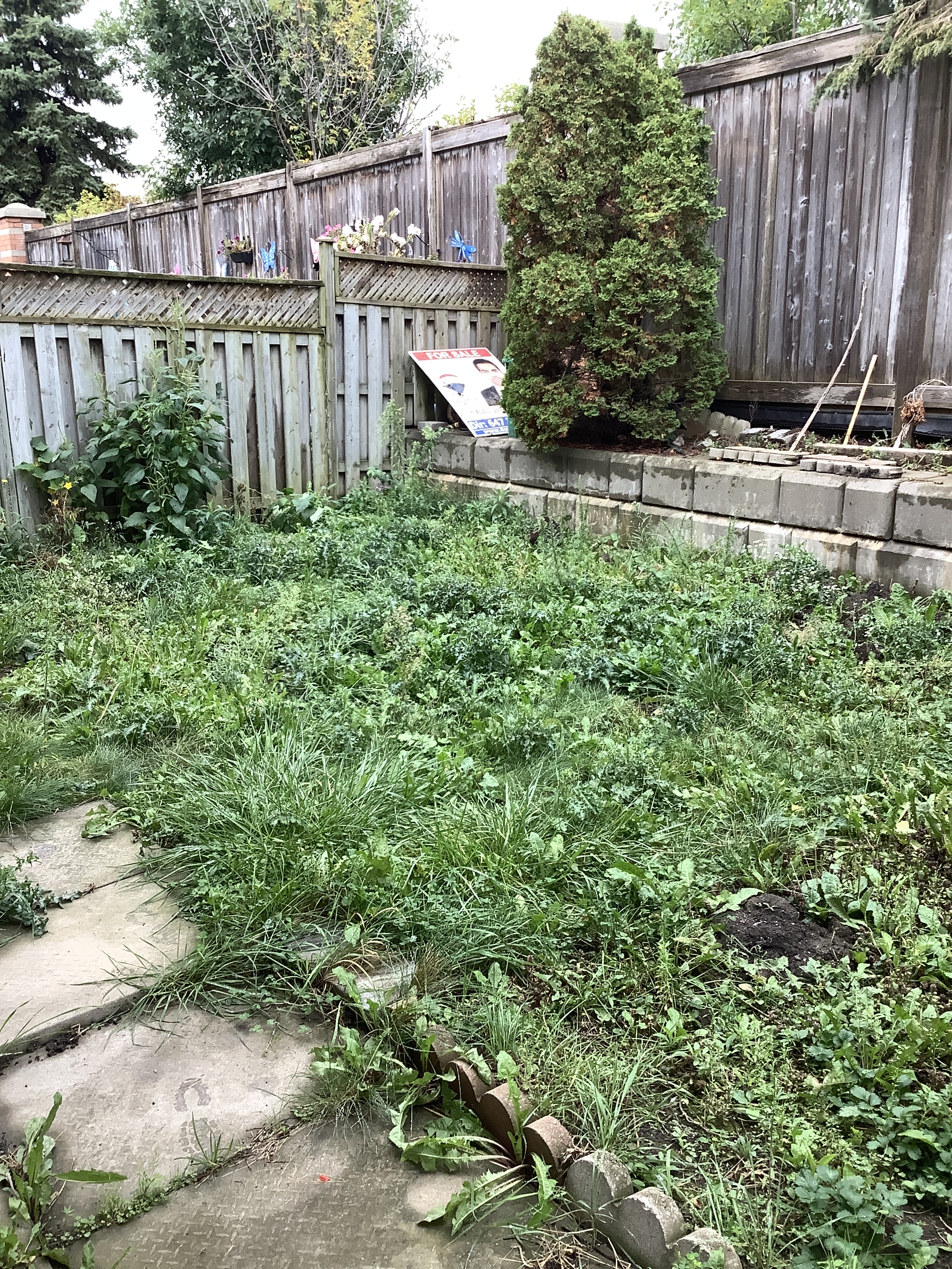 ef6dc5bf-c7e1-4ad4-8050-02270fbaba38